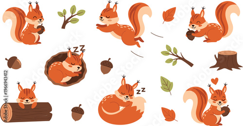 Cute squirrel cartoon set forest animal characters with acorns sleeping jumping playful woodland vector illustration collection