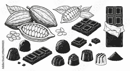 Hand-drawn cocoa pods, beans, and assorted chocolate treats in monochrome