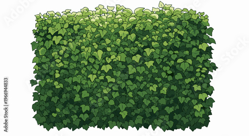 Lush green ivy foliage wall with varying shades of green