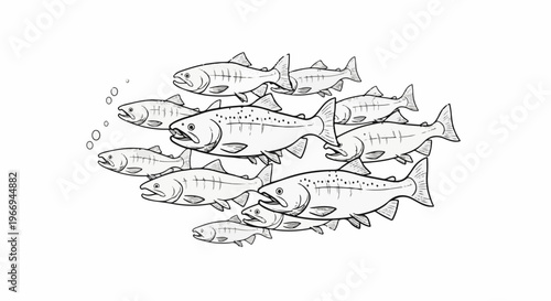 A school of fish swims together, with bubbles rising