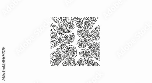 Overhead view of a dense forest canopy with intricate branches and leaves