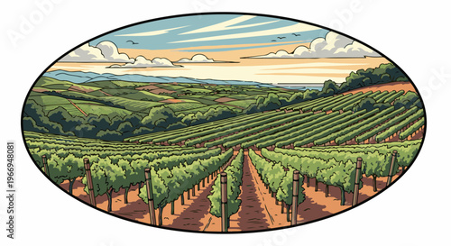 Rolling vineyard hills under a colorful sky, scenic vista