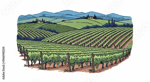 Rolling hills covered in lush green vineyards under a serene blue sky