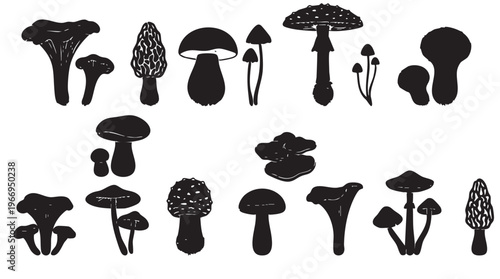 Collection of various mushroom silhouettes including ink engraving line black png