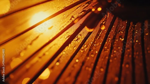 Abstract close-up of textured surface covered in water droplets illuminated by warm golden light with bokeh