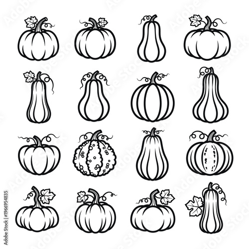 Diverse assortment of pumpkin and squash illustrations with varying shapes and designs