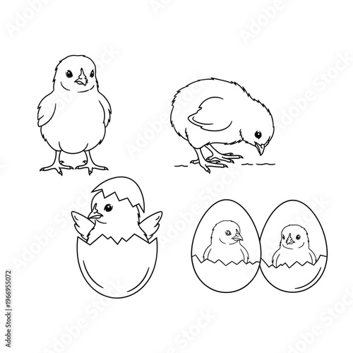 Chicks emerging from eggs and exploring their surroundings in a simple sketch
