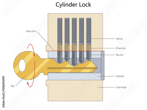 cylinder lock mechanism showing key, driver pins, springs, shear line, and how pin alignment allows rotation and unlocking diagram hand drawn schematic vector. Science educational illustration