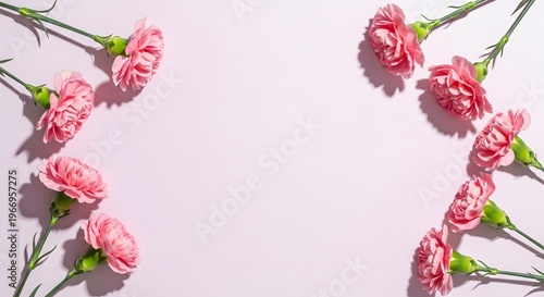 Pink carnation floral arrangement on a light pink background