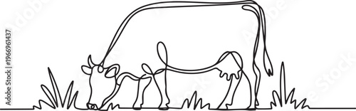 Cow on pasture in continuous line art drawing style. Grazing cow minimalist black linear. one line Icon drawing