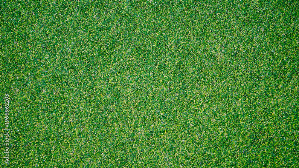 Fototapeta premium Green grass background, top view background of garden bright grass concept used for making green backdrop, lawn for sports field