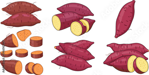 Hand drawn sweet potato vector set featuring whole sliced and cut yam tubers in vibrant natural colors for healthy food cooking and agriculture design