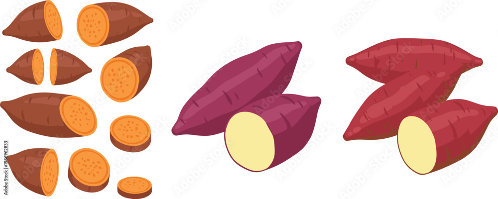 Obraz premium Hand drawn sweet potato vector illustration set featuring whole sliced and cut yam tubers in natural colors for healthy food design cooking and agriculture themes