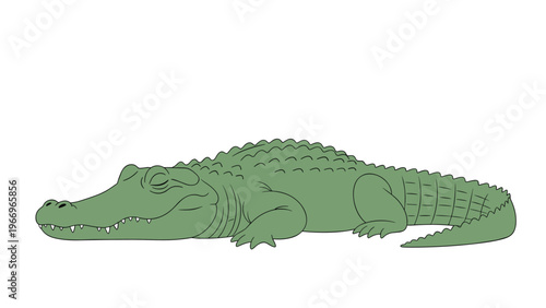 Calm green crocodile rests peacefully on the ground, depicting a relaxed reptilian creature in a simple cartoon style.