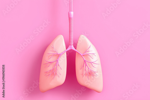 Understanding lung anatomy and structure in a colorful and fun way for educational purposes with a display of lungs on a pink background