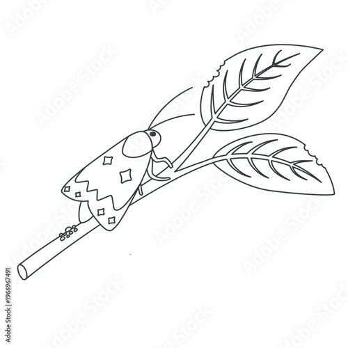 Codling moth laying eggs on branch garden pest insect damaging plant outline illustration