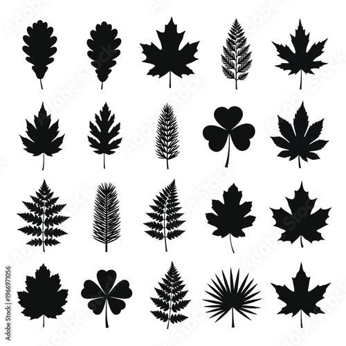 Diverse collection of stylized black and white leaf silhouettes arranged in a grid Vector, illustration