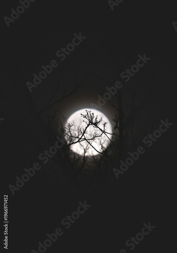 light in the darkness