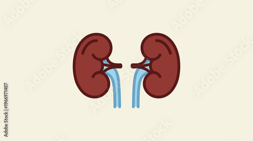 Clean flat design illustration of two human kidneys with fluid streams, symbolizing filtration, health, and excretory system function in a modern anatomical graphic