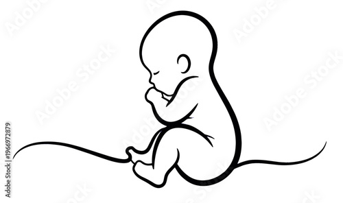 vector illustration of a baby