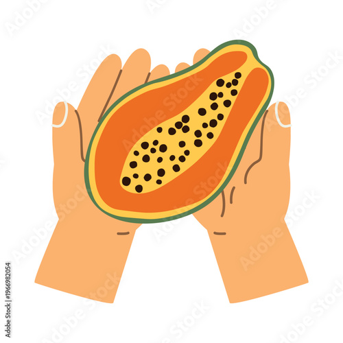hands holding fresh ripe papaya, tropical fruit illustration, healthy exotic food- vector illustration