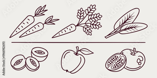 Fresh fruit and vegetable fruit vegetable carrot herbs leaf olives apple