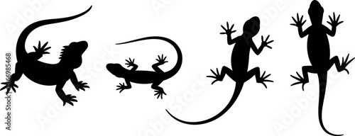 Set of lizard and gecko silhouettes in different poses, reptile collection, wildlife design elements isolated on white background illustration