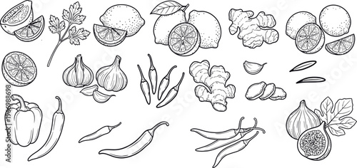 Hand-Drawn Ingredients: Limes, Garlic, Chilies, Ginger, Bell Pepper & Figs