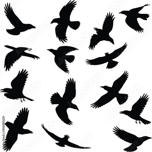 Flying bird silhouettes vector set with various poses, wildlife flock illustration, nature movement collection
