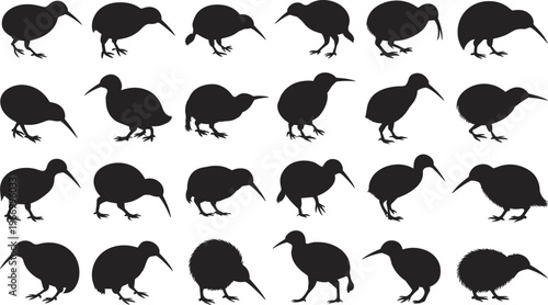 Kiwi bird silhouette vector set with various poses, flightless wildlife collection, New Zealand fauna