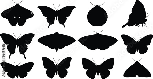 Butterfly moth silhouettes collection, insect wing shapes, black illustration icons, nature diversity design, entomology outline art concept