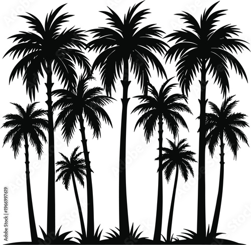 Black silhouette of palm trees on white background
