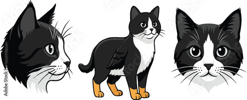 Modern Silhouette of a Kitty Home and Lifestyle Branding.