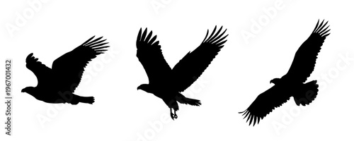 Flying eagle silhouette set - vector illustration	
