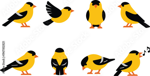 Stylized canary birds in various poses a colorful vector illustration collection