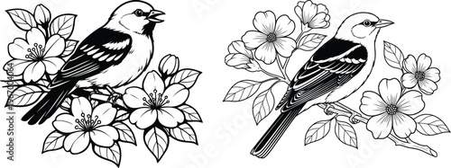 Canvas Print Vintage botanical illustration of birds and blossoms in black and white