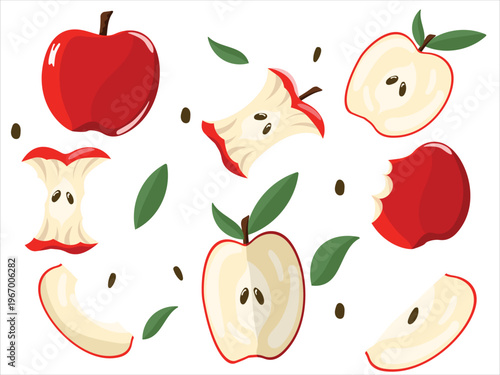 Apples set, illustration of eaten fruit. Bitten apple, Sliced apple