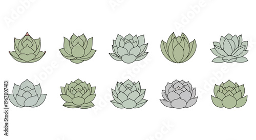 A set of green and grey succulents are arranged in two rows on a white background 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.