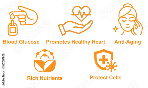 Modern health icon bundle featuring a wide range of medical, wellness, and fitness symbols in clean vector style. Perfect for healthcare apps, websites, and presentations, fully editable and scalable.