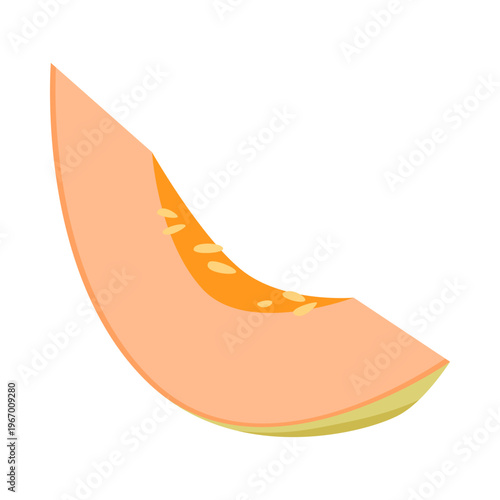 Simple isolated melon slice with seeds on white background for healthy food concepts vector illustration