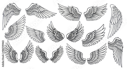 Collection of Hand-Drawn Angel Wings Illustrations, Feathered Designs
