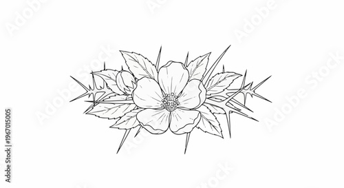 Delicate bloom intertwined with sharp, menacing thorns