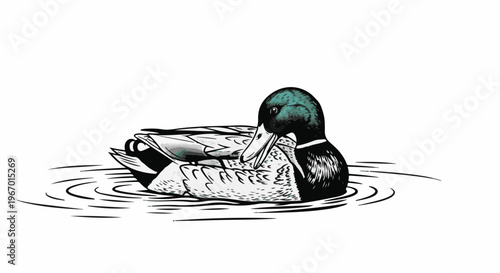 Duck resting in calm water with ripples