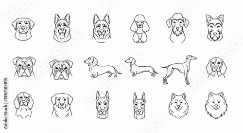 Collection of sketched dog portraits and full-body illustrations in black outline