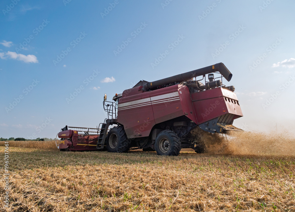 Fototapeta premium A combine harvester working in a vast agricultural field during a sunny daytime harvest, kicking up dust