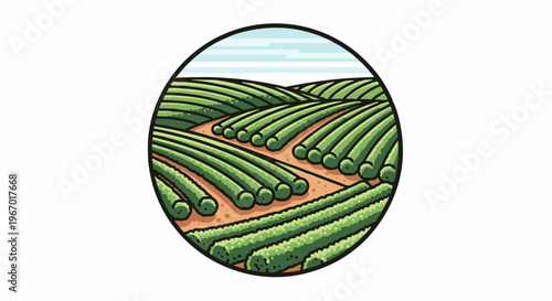 Rolling green fields with neat rows of crops under a sky