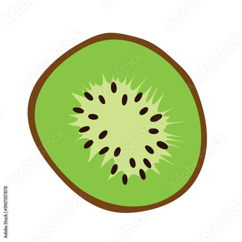 fresh ripe kiwi, tropical fruit illustration, healthy exotic food- vector illustration