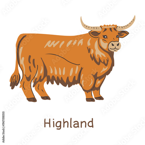 Cow Highland breed. Hand drawn vector illustration.