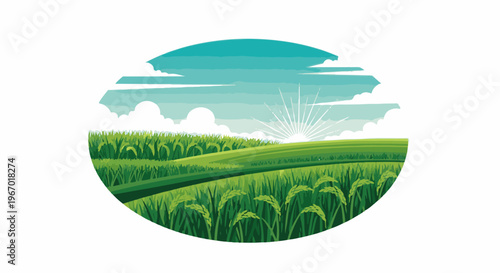 Green agricultural landscape with sunrise over hills and fields