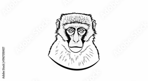Detailed sketch of a monkey's face with expressive eyes and furry details